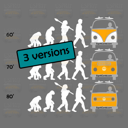 Sticker Evolution Van - EspritCombi.com